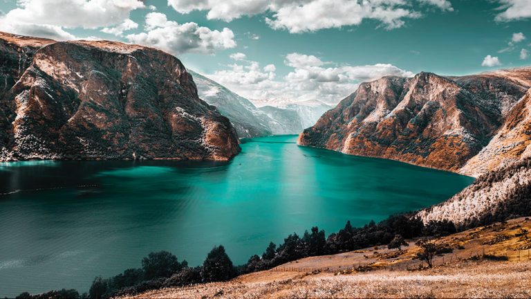 Odio Utsem Nulla Pharetra Diam Sitametnisl Elementum 1 mar bustos 1352933 unsplash