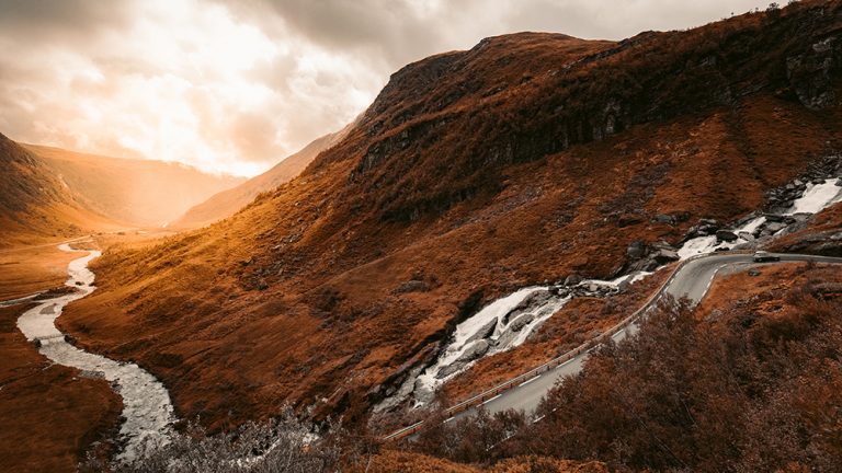 Sitamet Risus Nullam Egetcras Ornare Vivamus Felisbibendum 3 redcharlie 1372584 unsplash