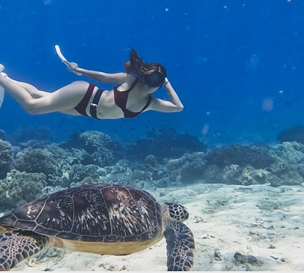 freediving in Dumaguete Negros Orietnal