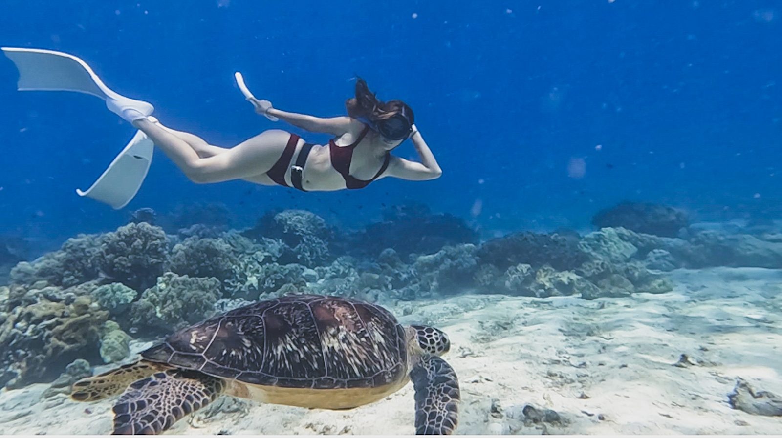 freediving in Dumaguete Negros Orietnal