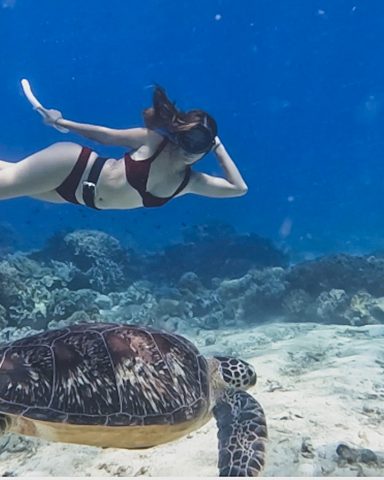 freediving in Dumaguete Negros Orietnal