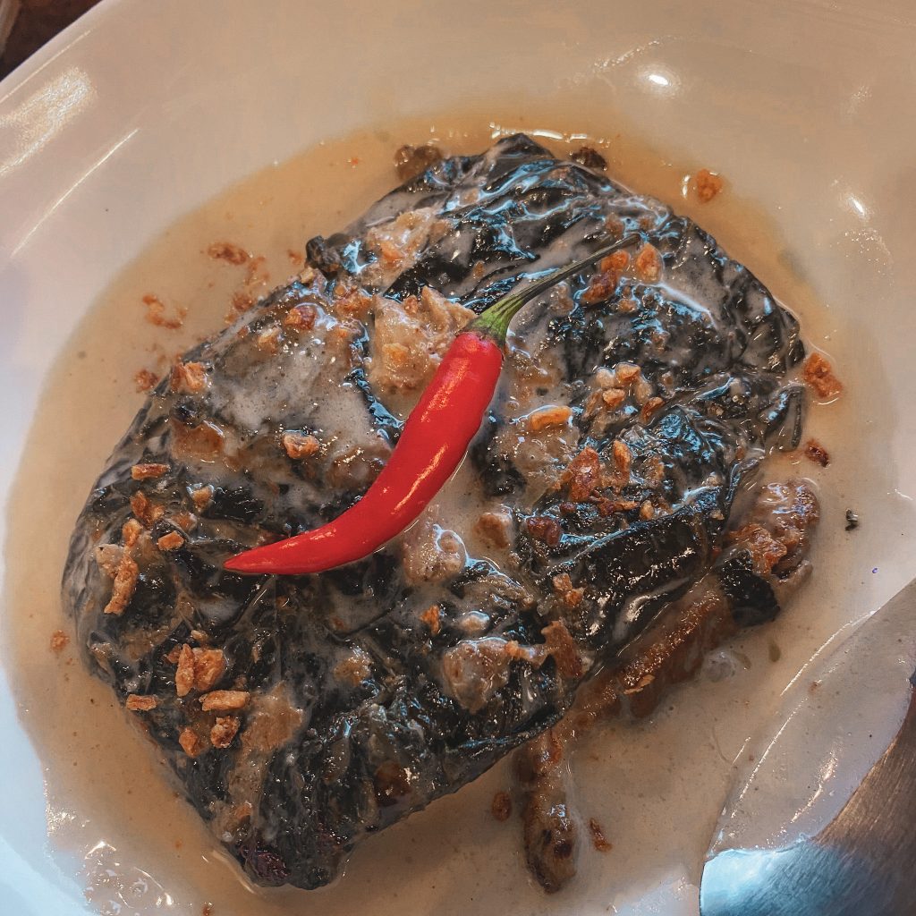 LEGAZPI ALBAY TRAVEL GUIDE: Mayon Volcano and 6 Best Things To Do 7 LegazpiAlbay 06