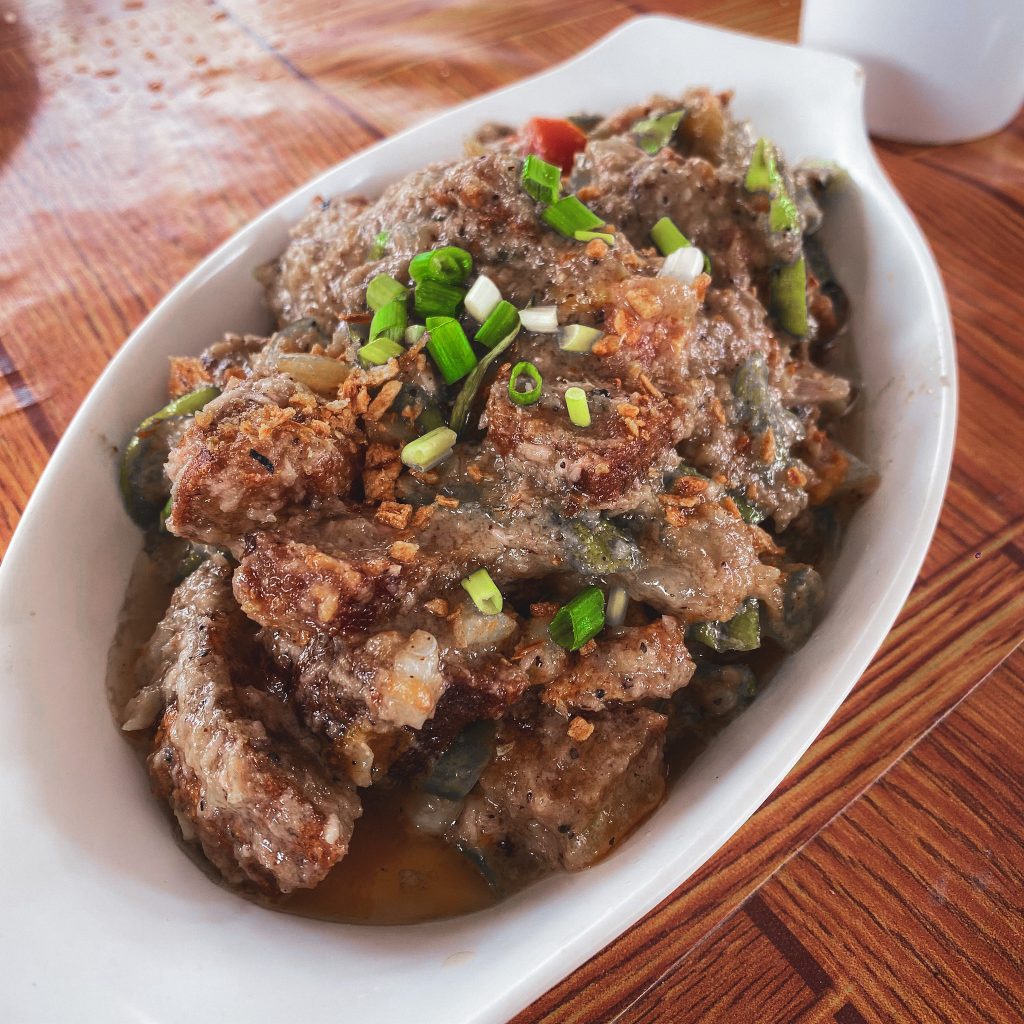 LEGAZPI ALBAY TRAVEL GUIDE: Mayon Volcano and 6 Best Things To Do 8 LegazpiAlbay 08