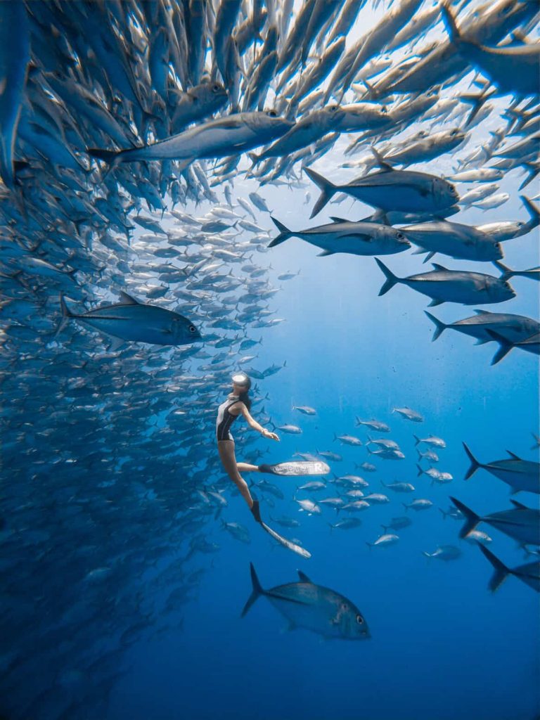 freediving in the philippines