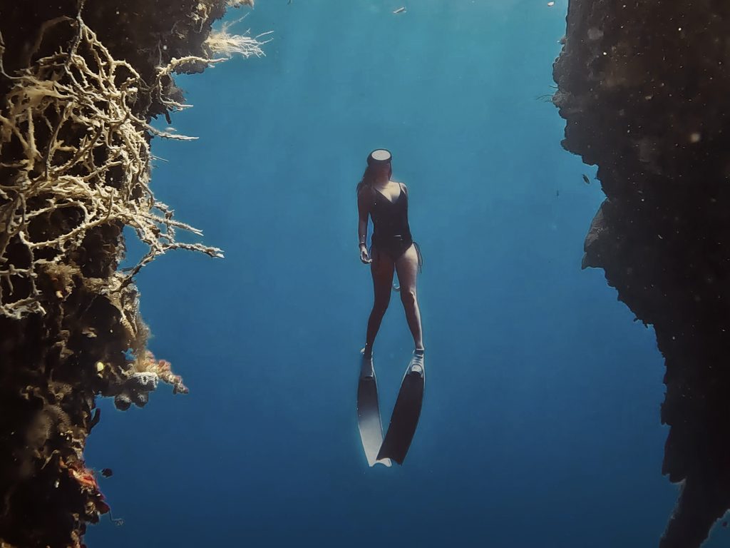 freediving in bohol