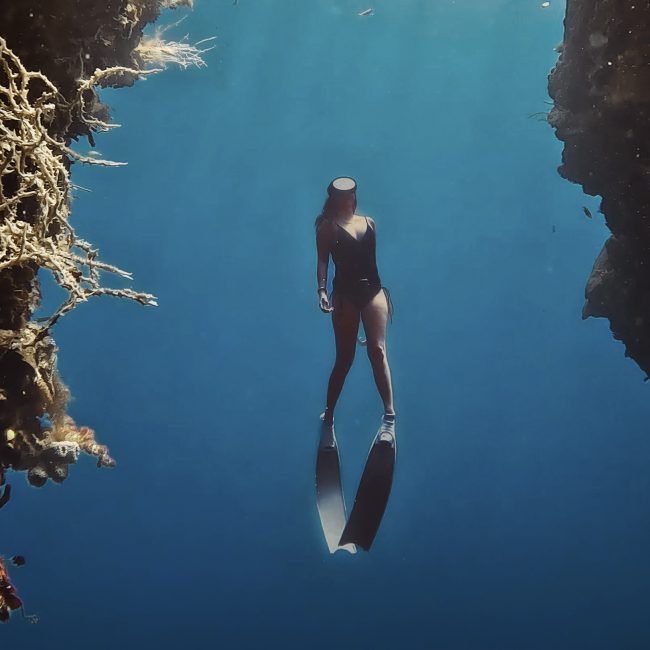 freediving in bohol
