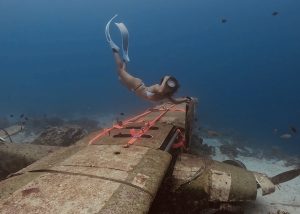 freediving in bohol