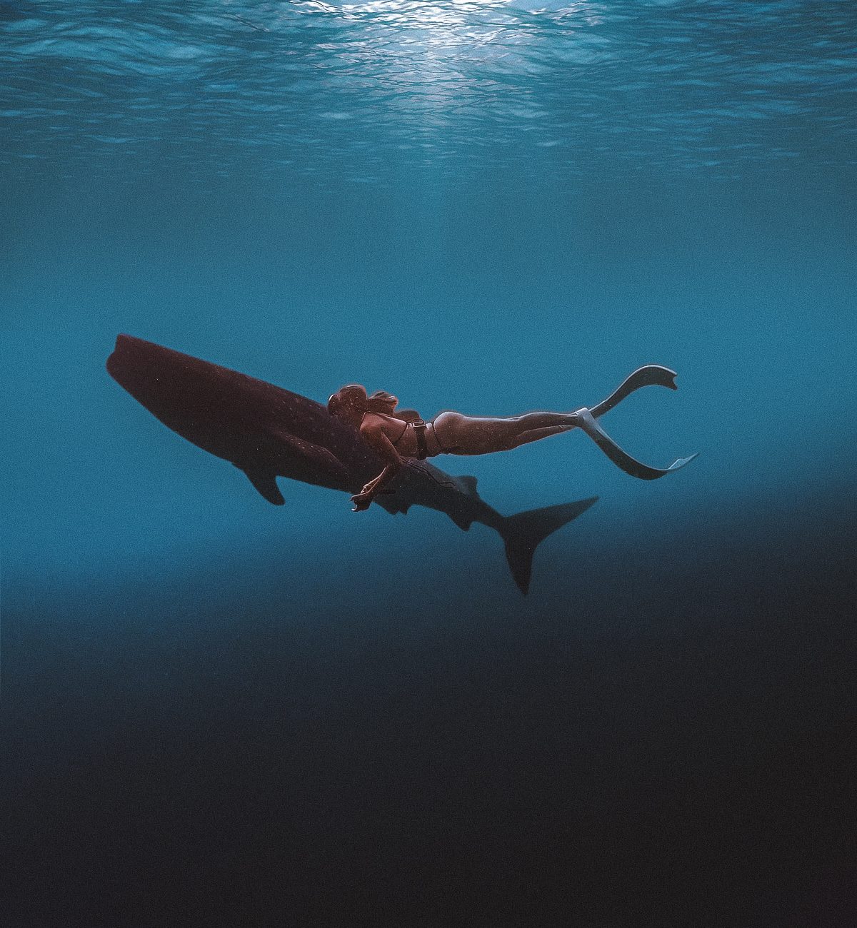 freediving guide for beginners