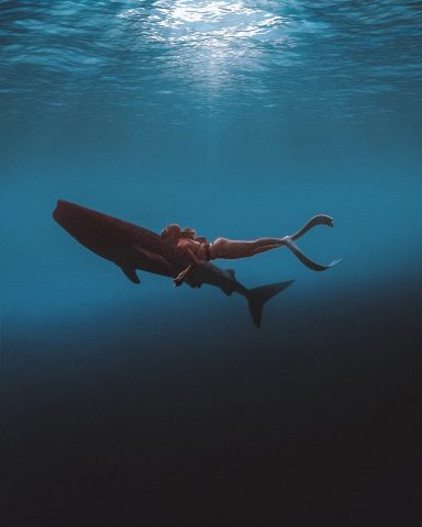 freediving guide for beginners