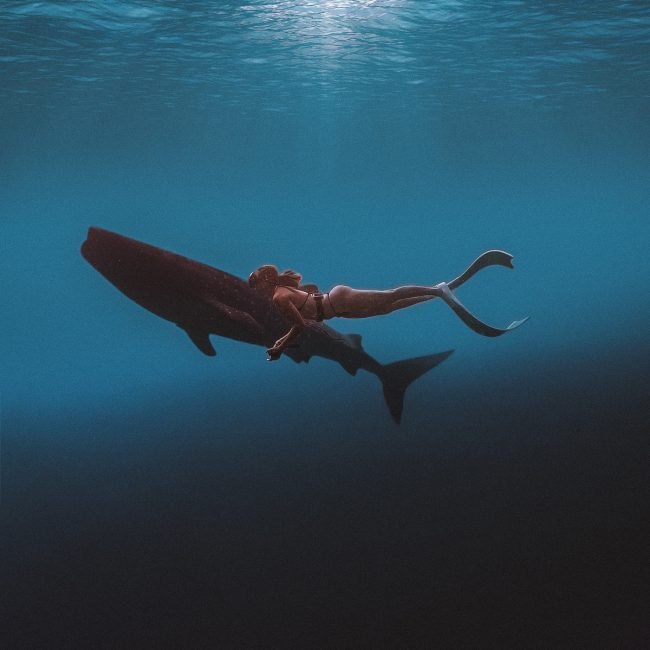 freediving guide for beginners