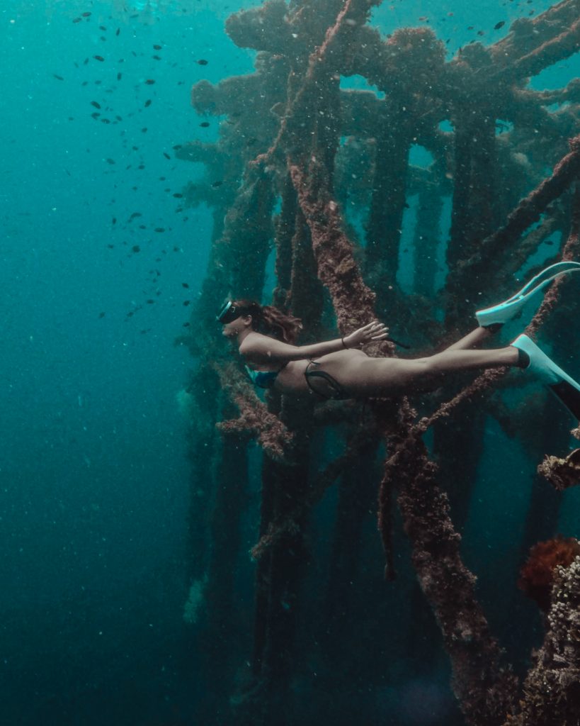 FREEDIVING IN DUMAGUETE NEGROS ORIENTAL: Best Dive Spots, Dive Guide, and Itinerary 7 GPTempDownload 2 2