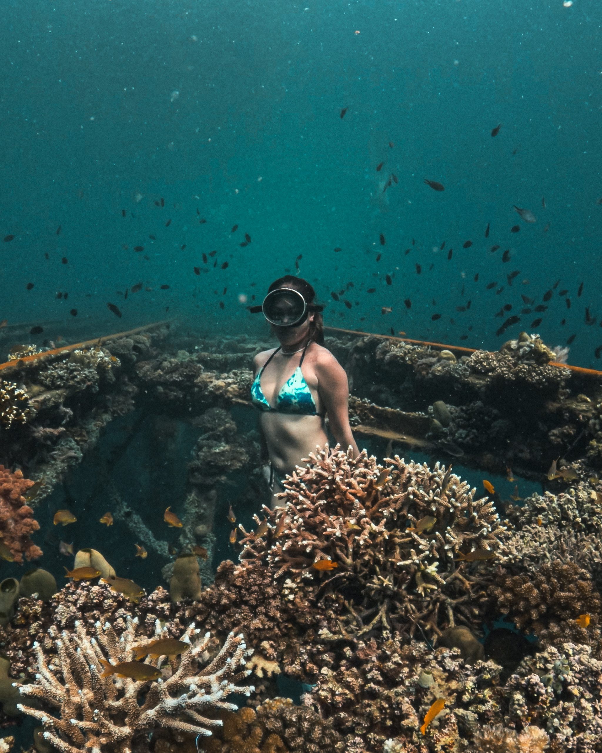 freediving in Dumaguete Negros Oriental