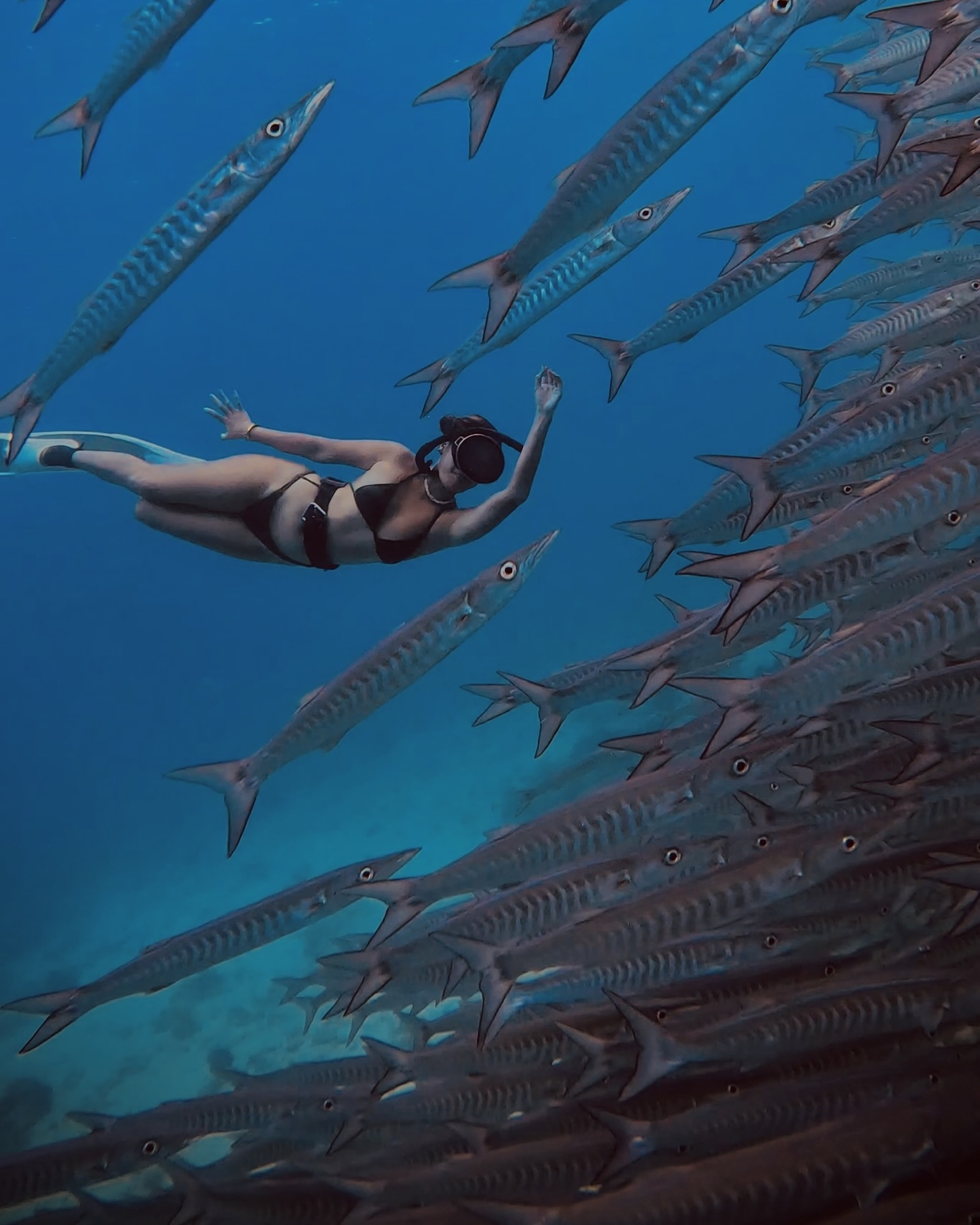 FREEDIVING IN SIQUIJOR: Home of Majestic Barracudas and Cave Diving 4 GPTempDownload 14