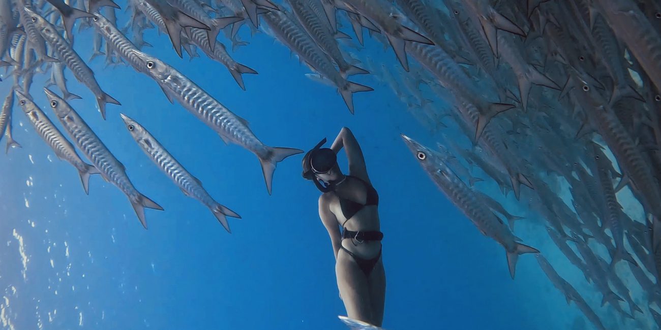 freediving in Siquijor