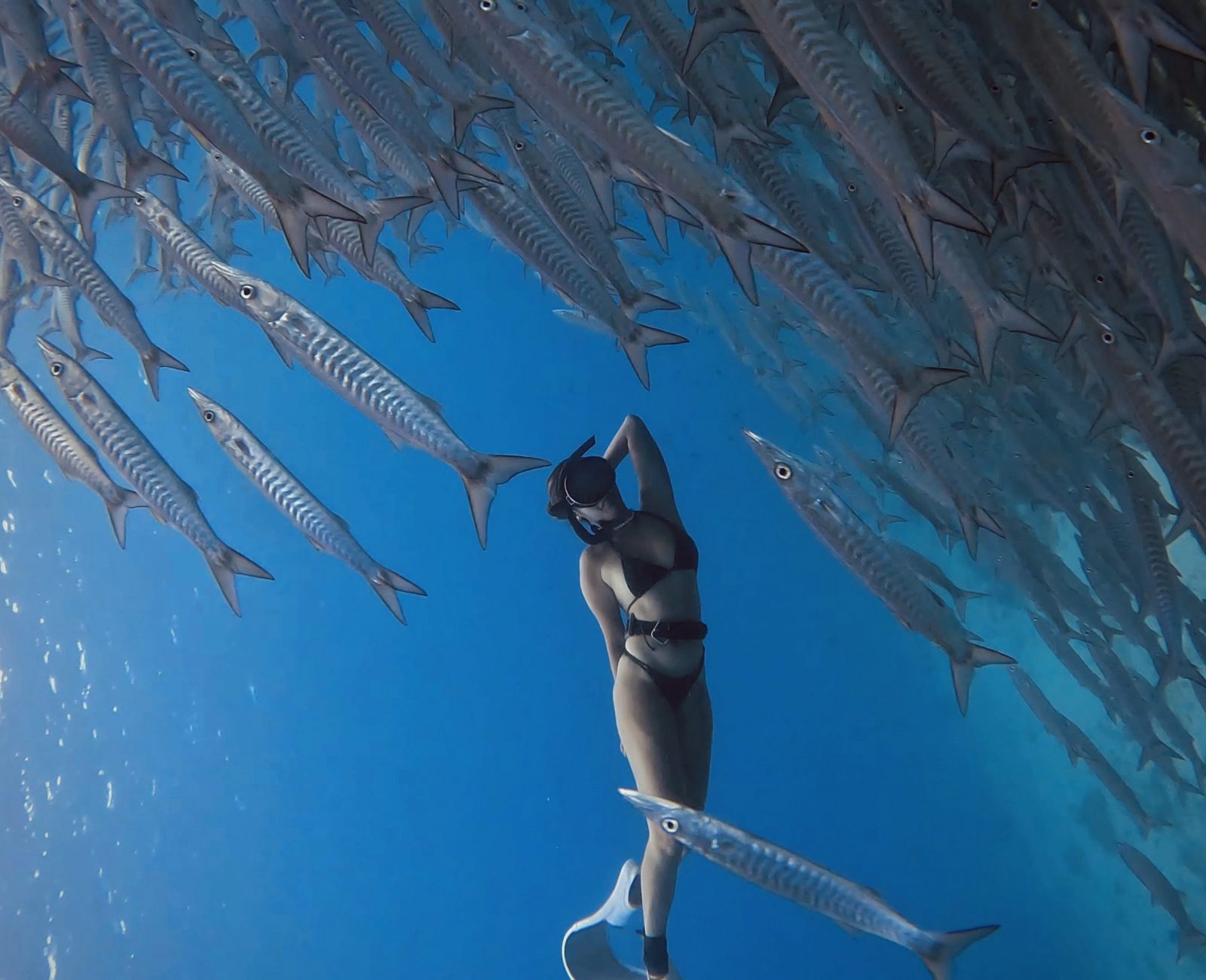 freediving in Siquijor