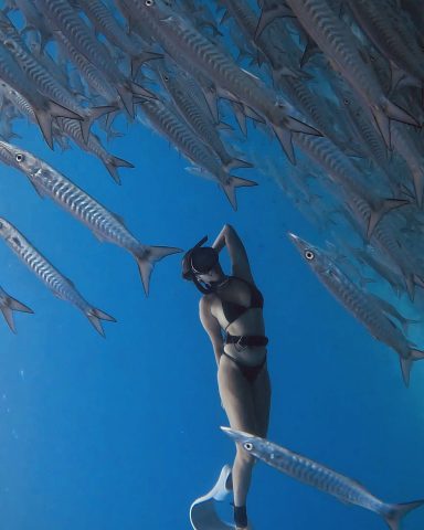 freediving in Siquijor