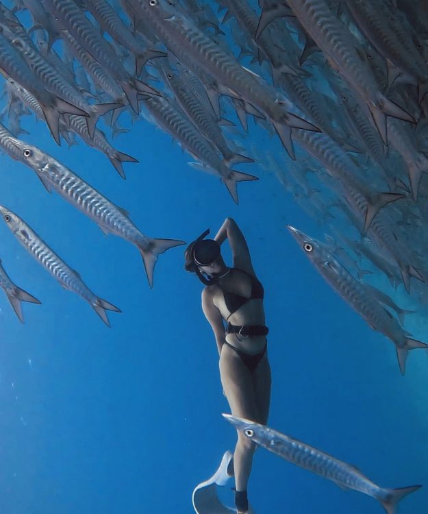 freediving in Siquijor