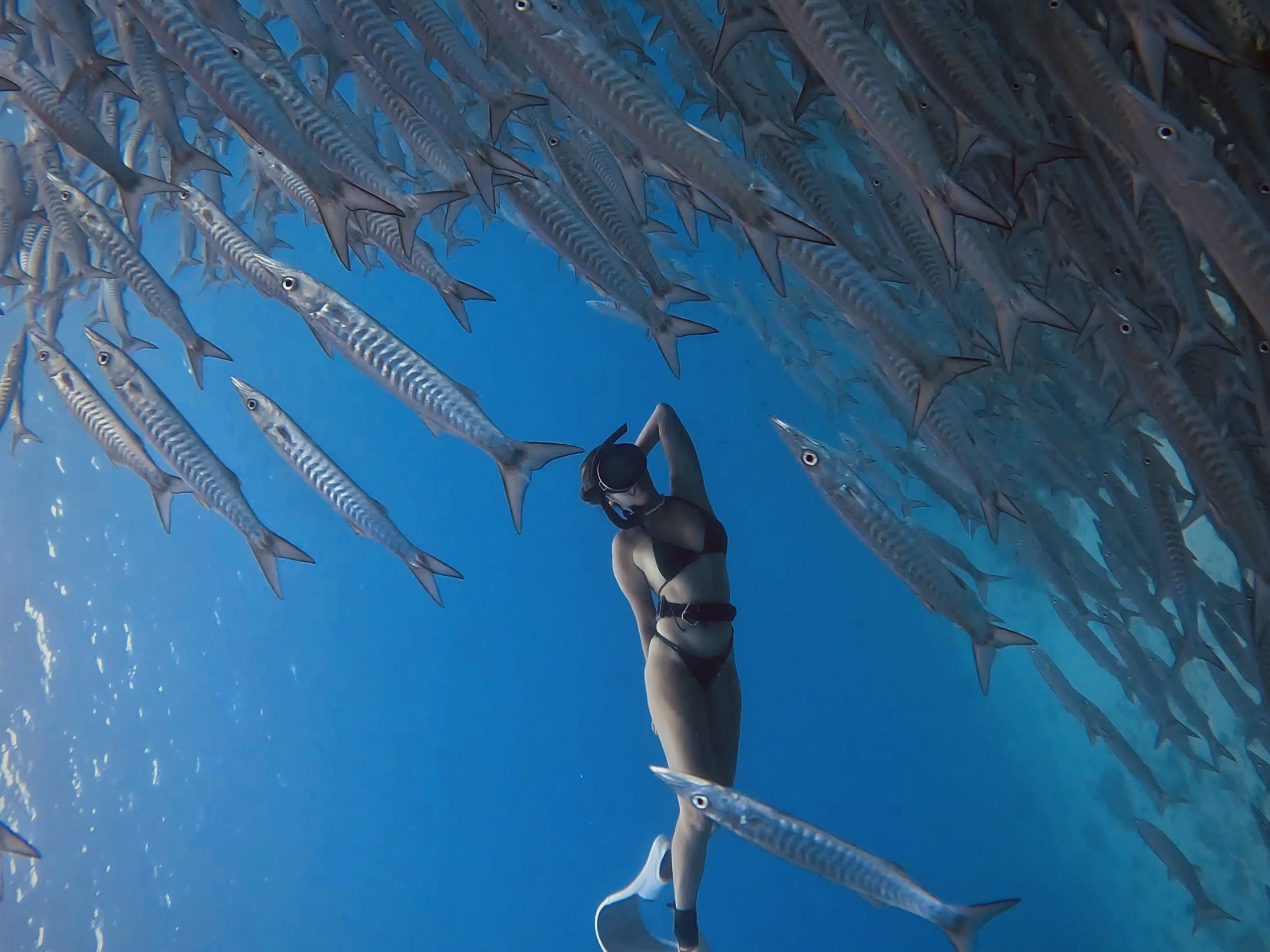 freediving in Siquijor