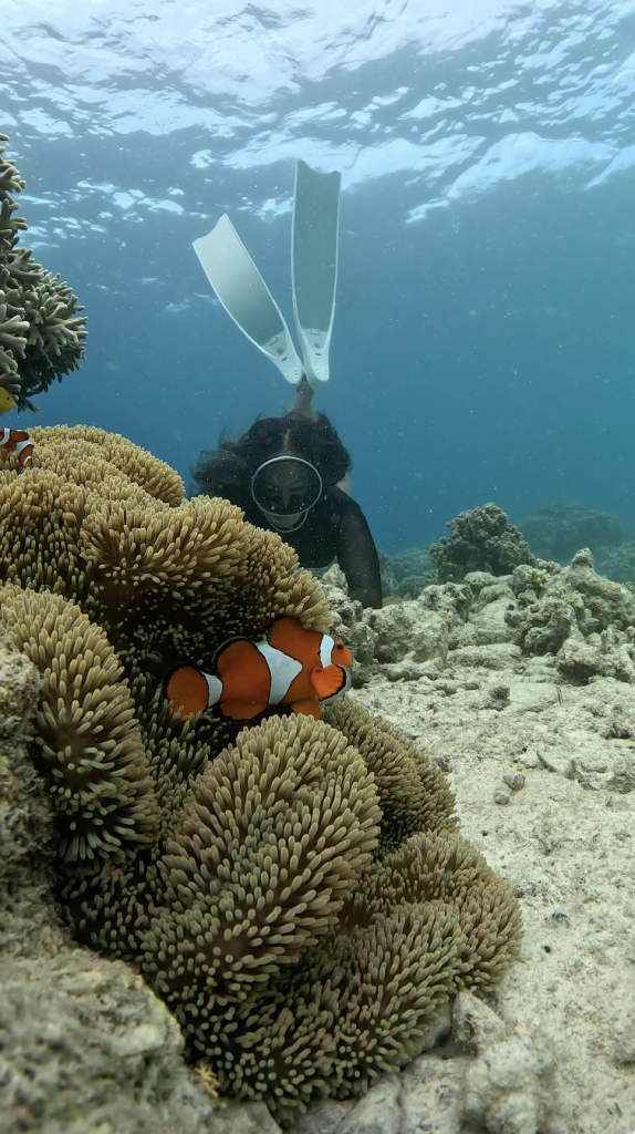 freediving in camiguin island