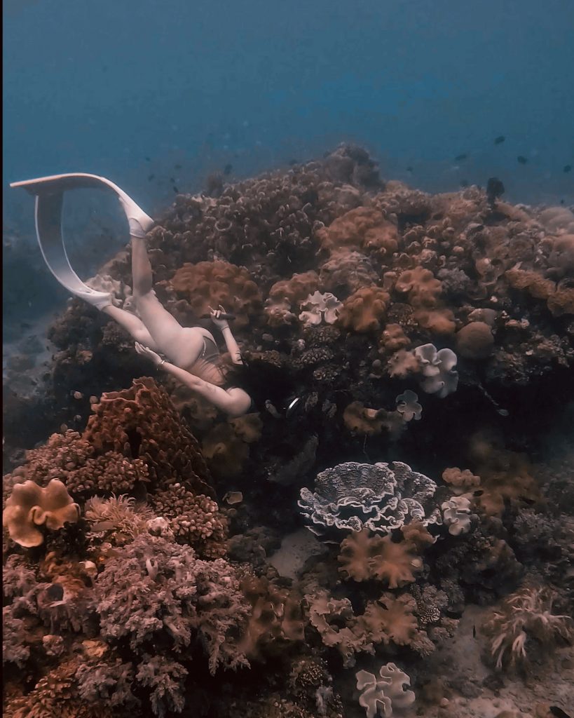 samal island corals