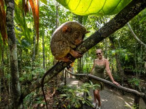 bohol countryside tour