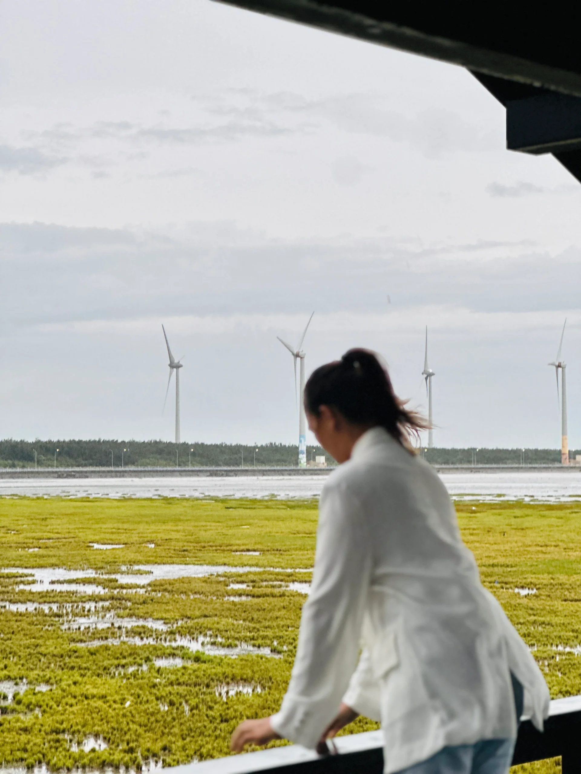 12 Best Places to Visit and Things to Do in Taiwan: Taipei, Northern and Central Taiwan 16 Taiwan Gaomei Wetland scaled