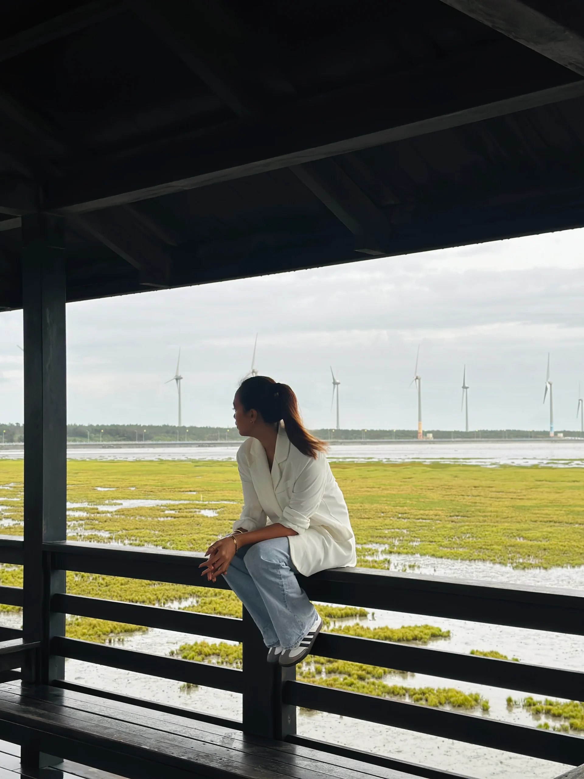 12 Best Places to Visit and Things to Do in Taiwan: Taipei, Northern and Central Taiwan 17 Taiwan Gaomei Wetland01 scaled